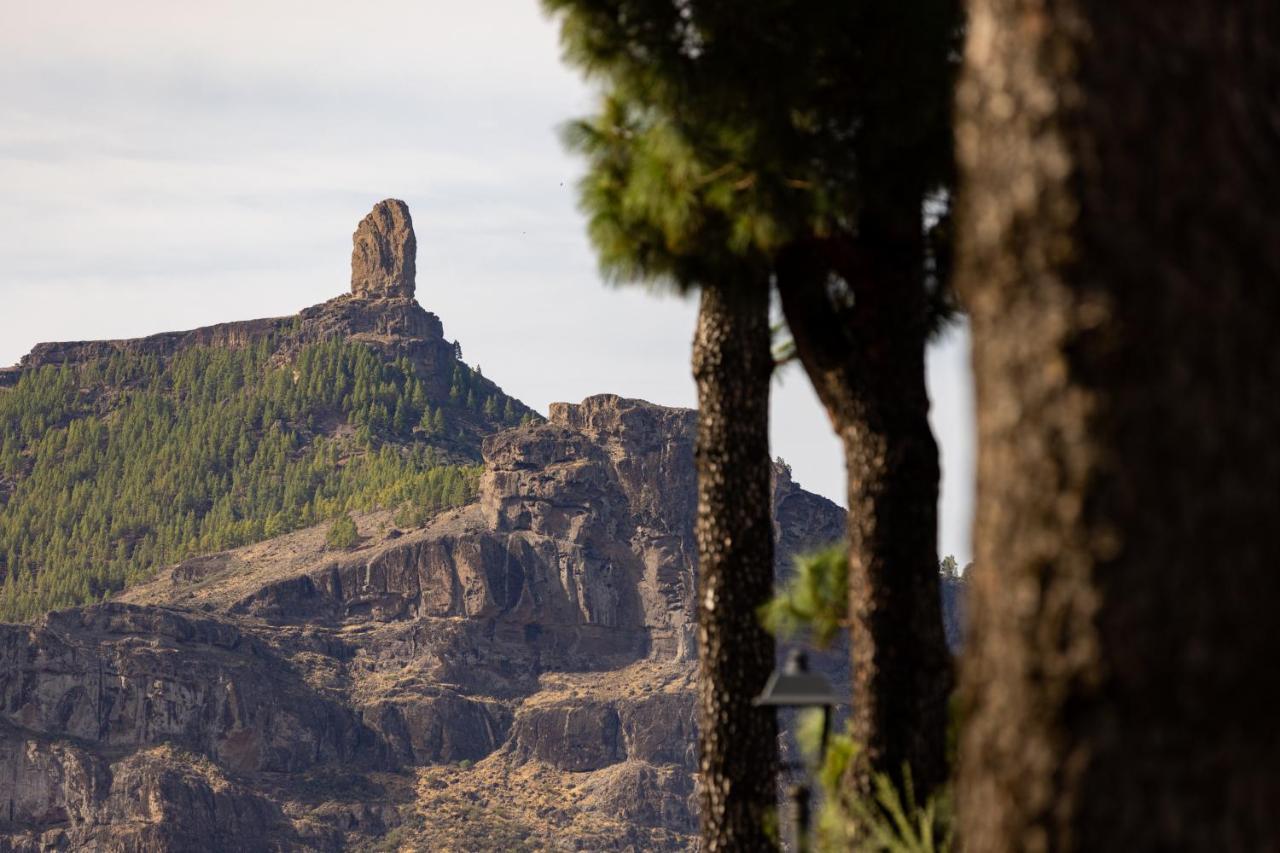 Casa Maruca With Roque Nublo View Villa เตเฮดา ภายนอก รูปภาพ